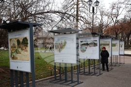 Една млада столица пътува по света - изложба