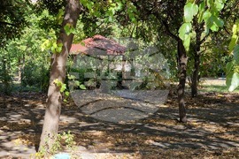 Пловдив - Дом за стари хора "Свети Василий Велики“