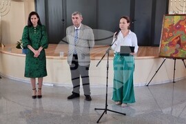 Видин - Галина Велчева - „Портали“ - изложба