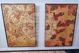 Видин - Галина Велчева - „Портали“ - изложба