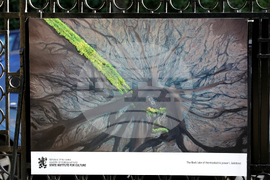 Румъния - Букурещ - посолство на България - изложби