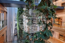 Франция - Страсбург - изглед - Европейският парламент