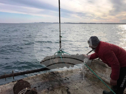 Снимка: НИМ - операция по изваждане