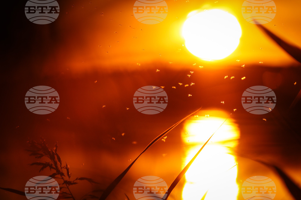 The Weather on December 31