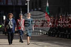 Посланик на Ирландия - акредитивни писма - връчване