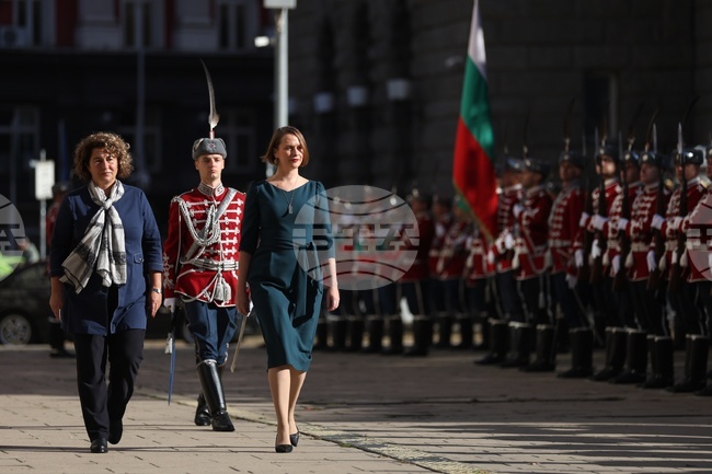Посланик на Ирландия - акредитивни писма - връчване
