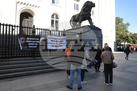 Евгения Владимирова - дело