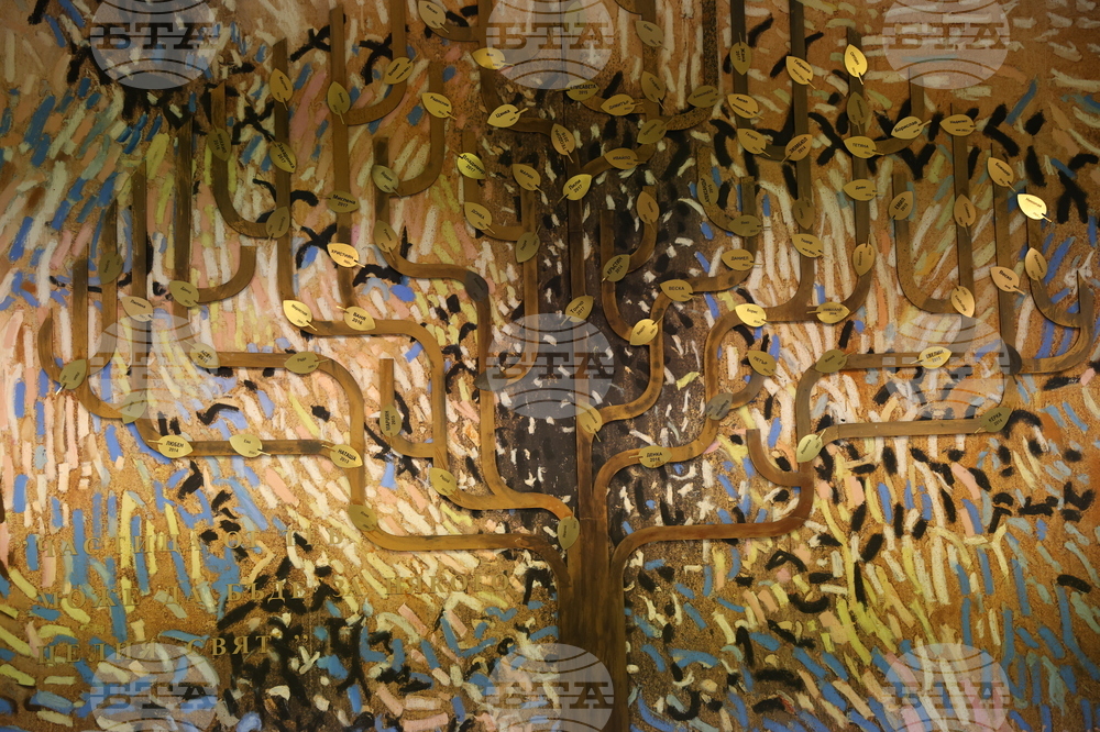 ВМА - Европейски ден на донорството  - дърво на живота