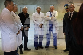 ВМА - Европейски ден на донорството  - дърво на живота