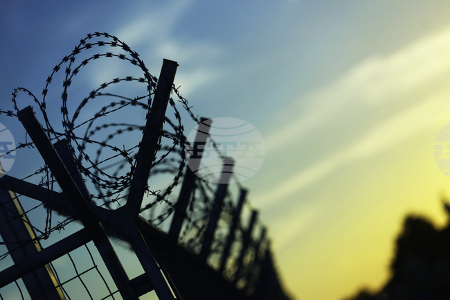 Sharp Decline in Migrant Crossings into Bulgaria, Border Police Chief Reports