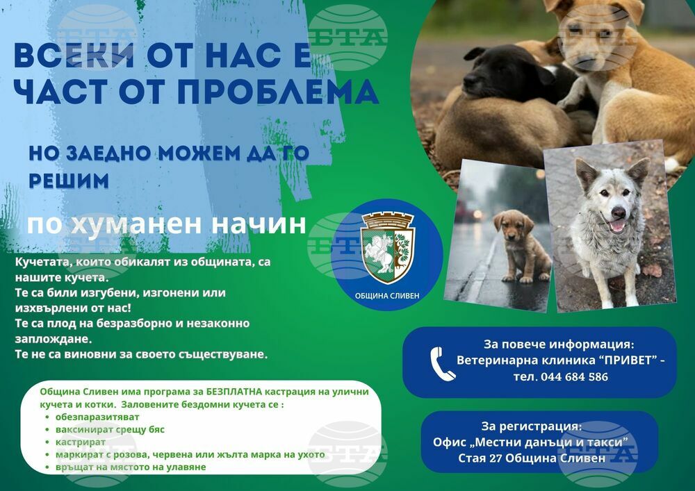Община Сливен напомня на гражданите да регистрират домашните кучета