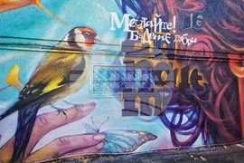 Бургас - жилищна сграда - графити