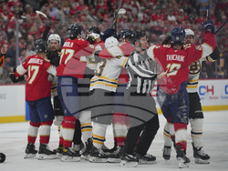 Bruins Panthers Hockey