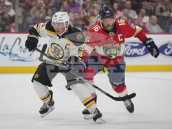 Bruins Panthers Hockey