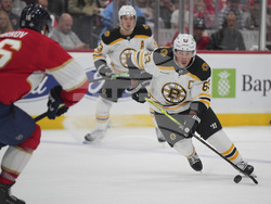 Bruins Panthers Hockey