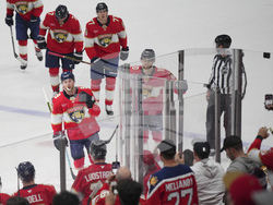 Bruins Panthers Hockey