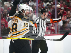 Bruins Panthers Hockey