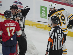 Bruins Panthers Hockey