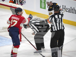Bruins Panthers Hockey