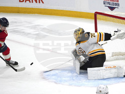 Bruins Panthers Hockey
