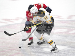 Bruins Panthers Hockey