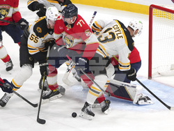 Bruins Panthers Hockey