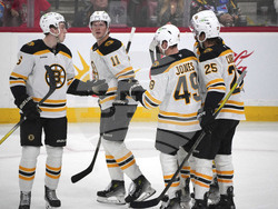 Bruins Panthers Hockey