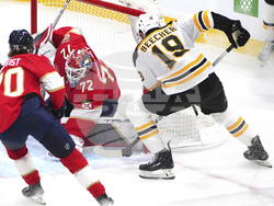 Bruins Panthers Hockey