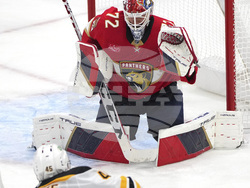 Bruins Panthers Hockey
