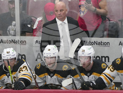 Bruins Panthers Hockey