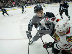 Blackhawks Utah Hockey
