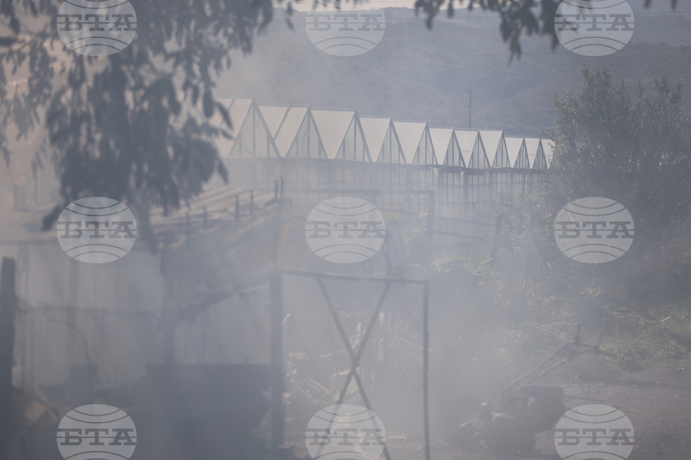 Благоевград - оранжерия - пожар