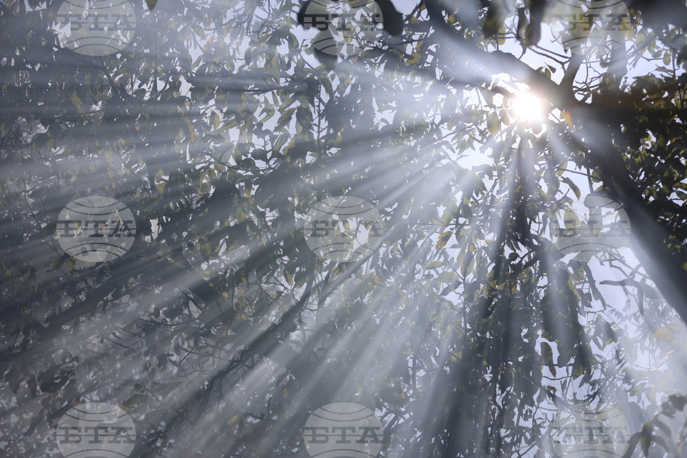 The Weather on November 28