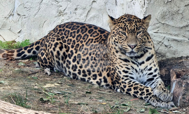 The Weather on January 9