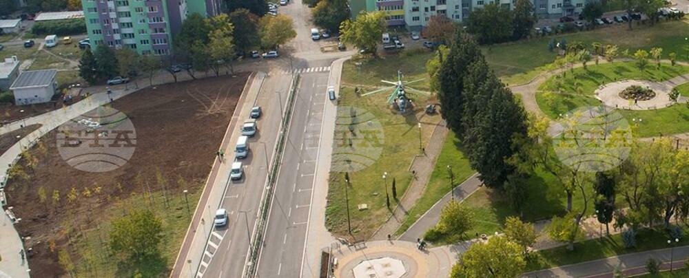 В Стара Загора осигуряват отново терен за засаждане на коледни елхи