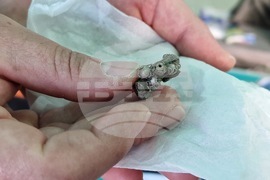 Велико Търново - хълм Трапезица - археологически проучвания