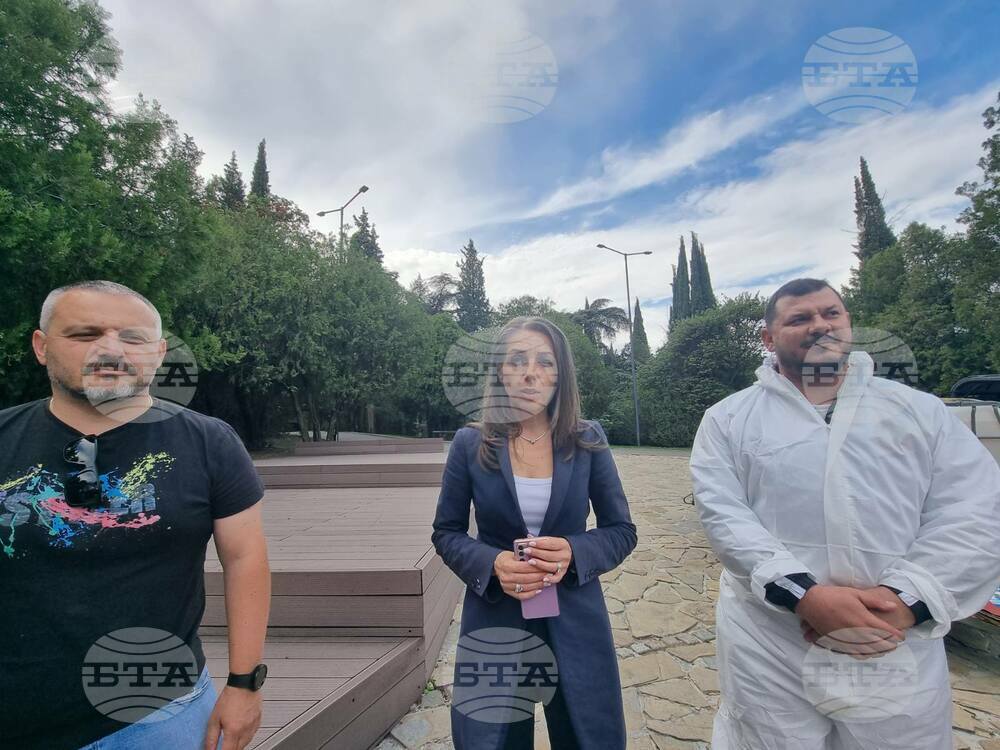 Продължава борбата с боровата процесионка в община Стара Загора