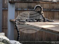 Снимка: Община Варна