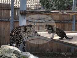 Снимка: Община Варна