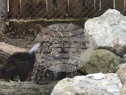 Снимка: Община Варна