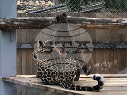 Снимка: Община Варна