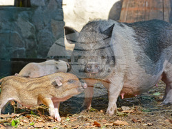 Снимка: Община Варна