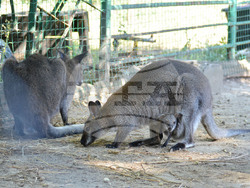 Снимка: Община Варна
