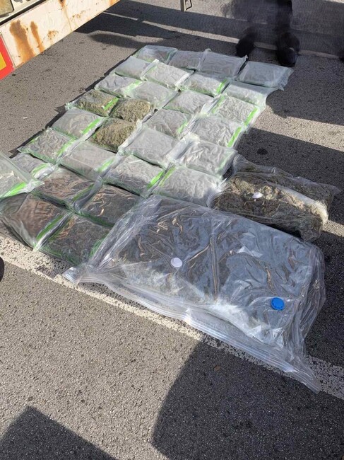 Близо 2,5 килограма високорискови вещества са иззети през февруари при специализирани акции в Пловдивско