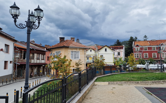 Програма за овладяване на популацията на безстопанствените кучета на територията на община Якоруда приеха общинските съветници