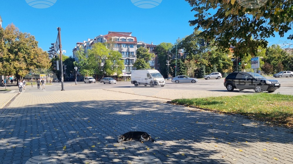 С температура от над 28 градуса поредицата от топли октомврийски дни в Търговище продължава