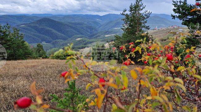 Условията в планините не са подходящи за туризъм , съобщиха от Планинската спасителна служба на БЧК