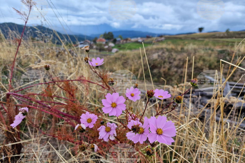 Bulgaria Marks International Day for Biosphere Reserves