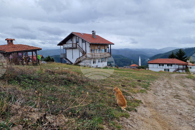 The Weather on October 3