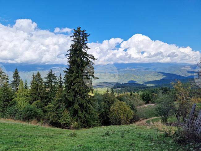 Условията не са подходящи за туризъм, съобщиха от Планинската спасителна служба на БЧК